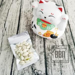 img20171221123027_24328478787_o sd